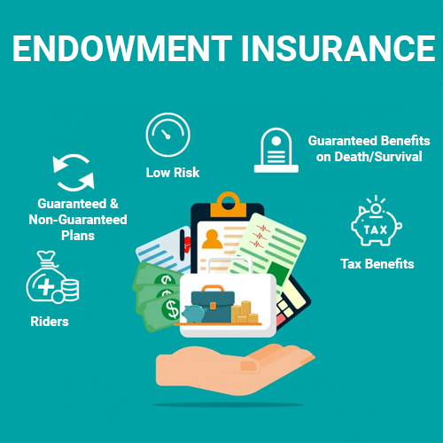 Endowment Insurance Plans
