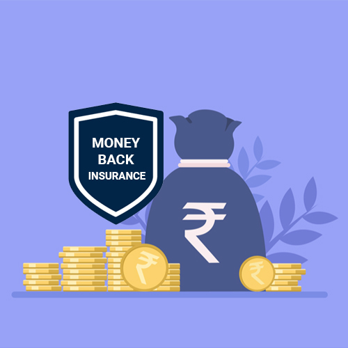 Money Back Insurance plans