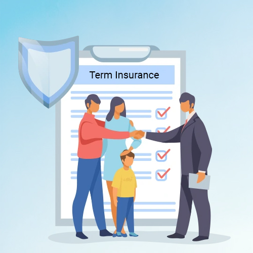 Terms Insurance plans